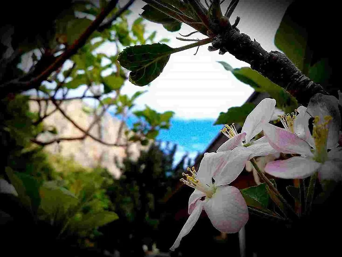 Villa Costa Sauci