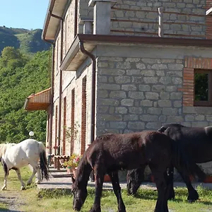 Alloggio per agriturismo Agriturismo Il Capitano, Floresta